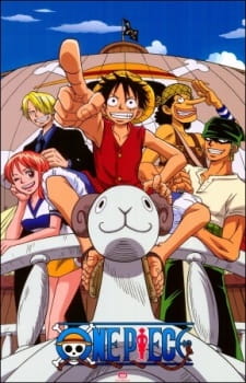 One Piece Episode #1078 Anime Review